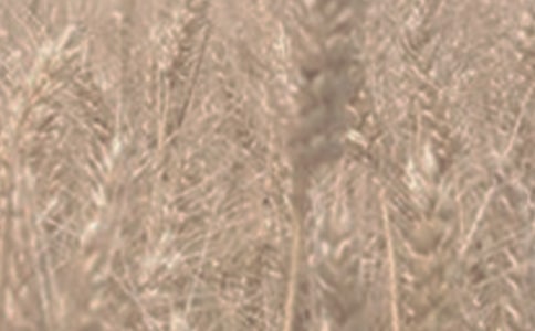 С����ù�����ع�������