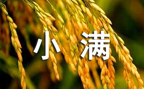 小滿節(jié)氣唯美句子