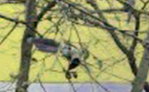 С�B(ni��o)��������