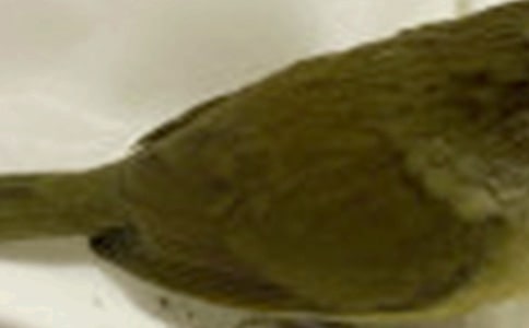 СССС�B_800��