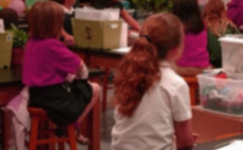 小學(xué)生的作文