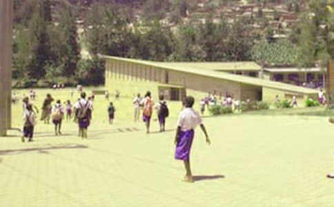 實(shí)用的愛的小學(xué)生作文300字3篇