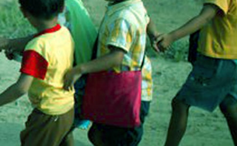 С�W����ͨ��ȫ���ģ�ͨ��16ƪ��