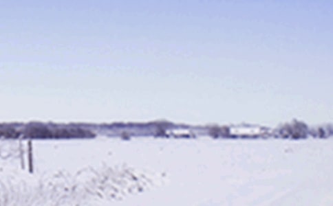 快樂的小雪花幼兒園大班音樂教案