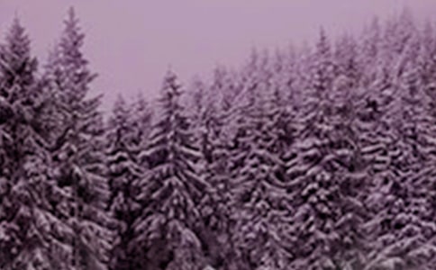 幼兒園音樂律動小雪花教案