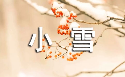 小班語(yǔ)言《小雪花》教案