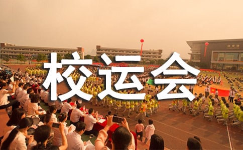 【集合】校運(yùn)會個(gè)人活動總結(jié)