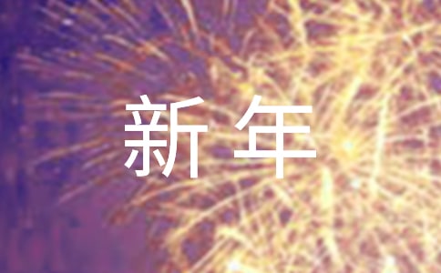 新年業(yè)務(wù)工作計(jì)劃11篇