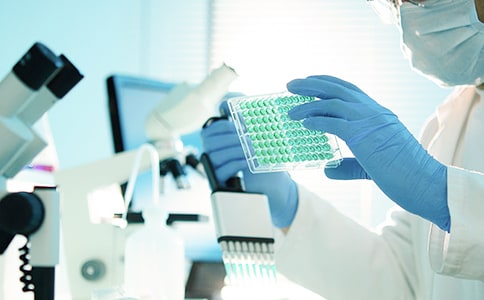 �Z���о����u