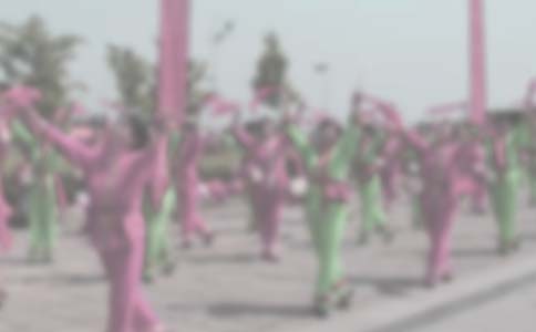 家鄉(xiāng)的大秧歌小學(xué)生作文(精選21篇)