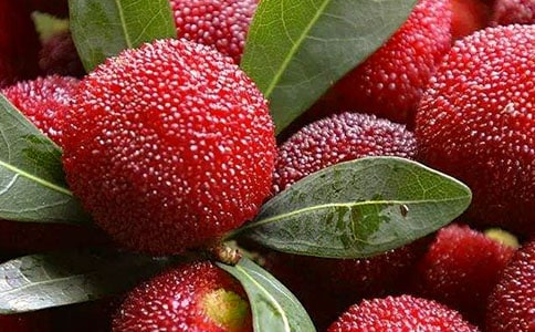 ��ժ��÷���ģ����x34ƪ��