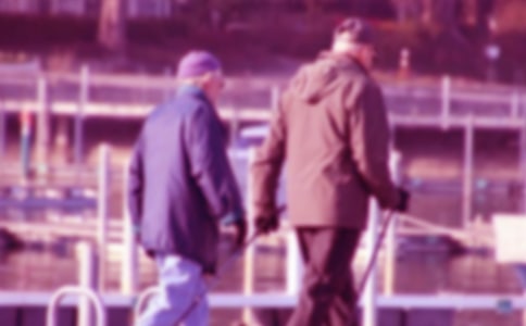 《爺爺和小樹》教學(xué)設(shè)計(jì)范本