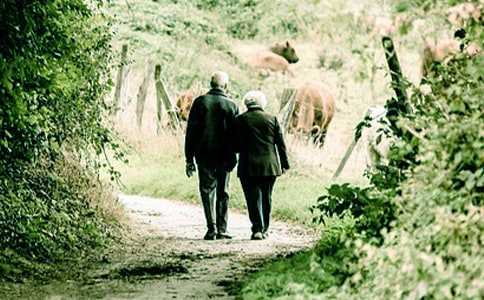 ���P(gu��n)�����������ƪ