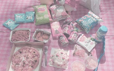 難忘的野餐作文