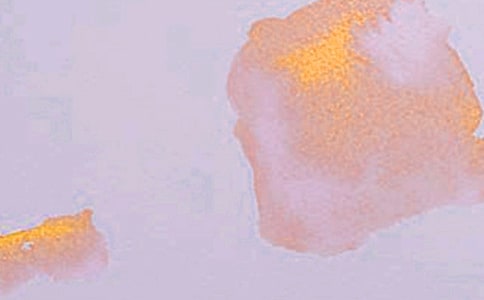 С�W(xu��)�༉(j��)������ˇ�g(sh��)