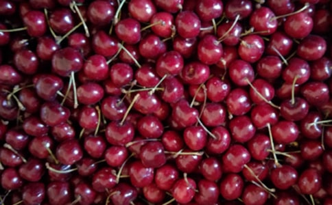 �I���ҵ�����