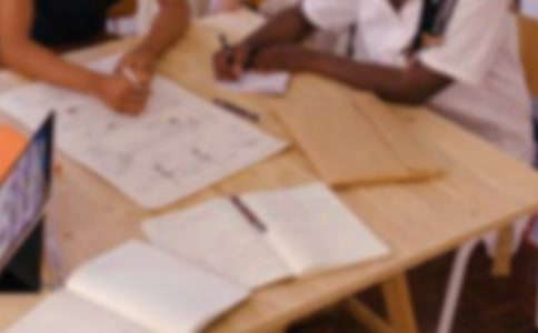 企業(yè)網(wǎng)絡營銷策劃書