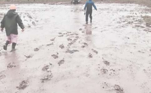 油田地面工程管理問題與優(yōu)化對策