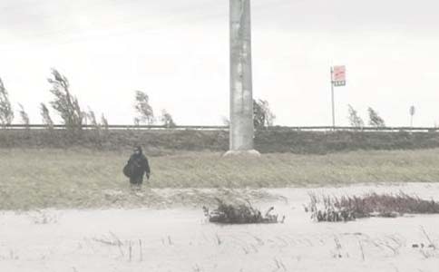 �����F(tu��n)�������Y(ji��)(����)