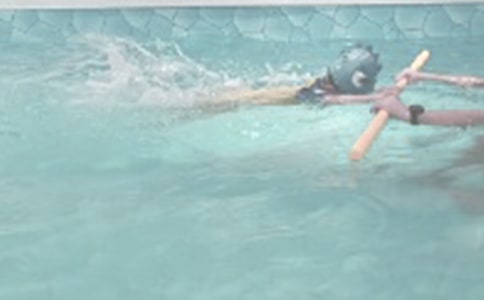 第一次游泳作文(精選3篇)