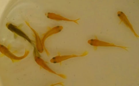 �~��ُ�N��ͬ���������ϡ�