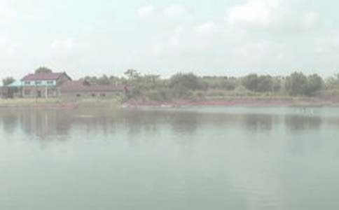 魚(yú)塘養(yǎng)殖承包合同