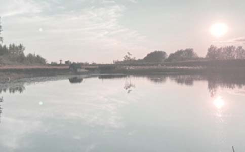 �~�����U��ͬ15ƪ(��(y��u)�x)