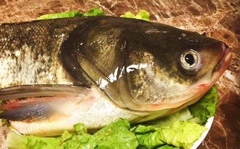 �����~�^����