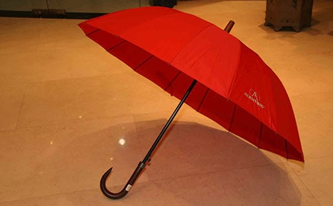 愛(ài)的雨傘作文