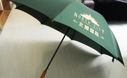 關(guān)于雨傘的作文:珍貴的雨傘