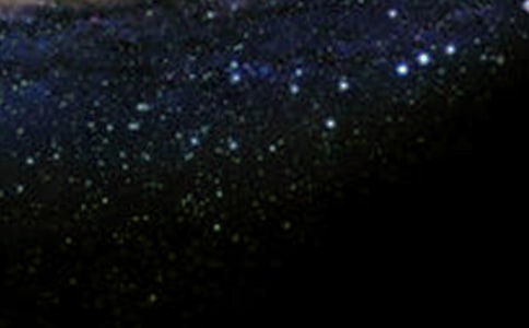 ����������̽��