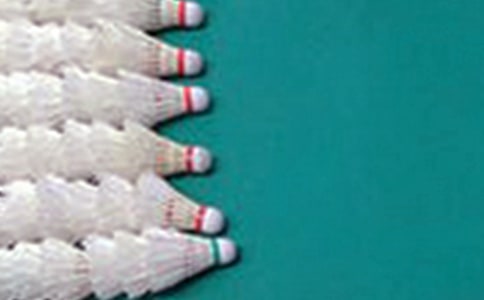 【精品】打羽毛球小學生作文錦集九篇