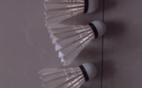 學(xué)打羽毛球作文