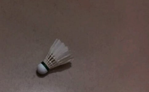 羽毛球比賽作文(15篇)