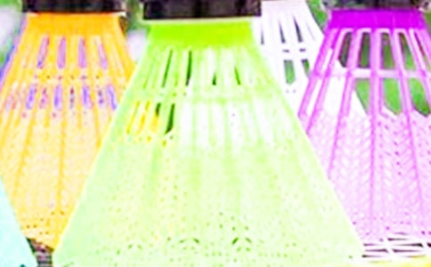 【推薦】打羽毛球小學(xué)生作文匯總6篇