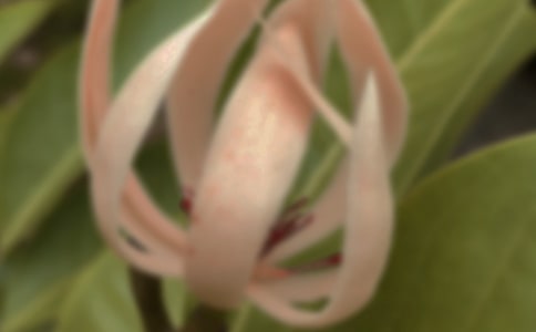 ���m����(y��u)������