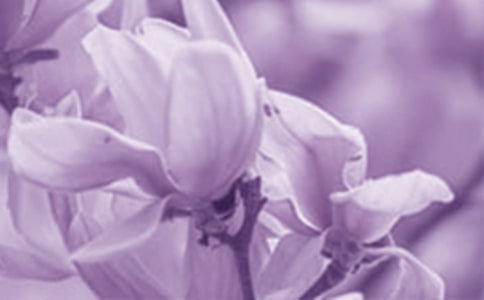 ���m���_(k��i)����