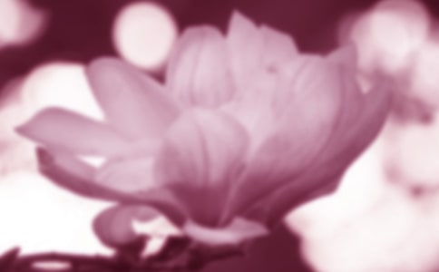 ���m������ͨ��