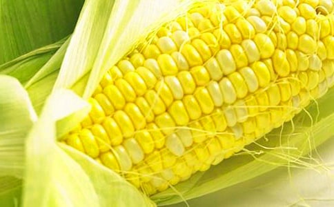 ������g(sh��)���׽̰�