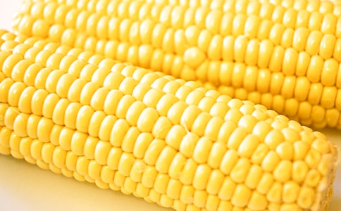 �������ס� ֮һ