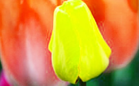 ����������