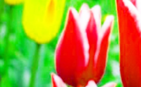 ����������20ƪ