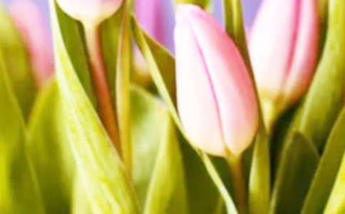 ����������15ƪ(ͨ��)