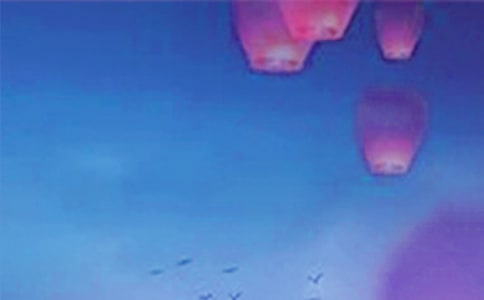 歡度元宵佳節(jié)作文