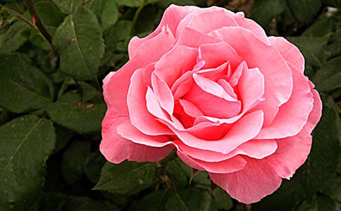 �P(gu��n)���¼�����15ƪ����(y��u)�㡿