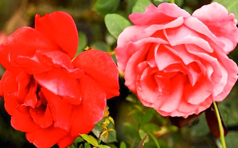 �P(gu��n)���¼���������15ƪ