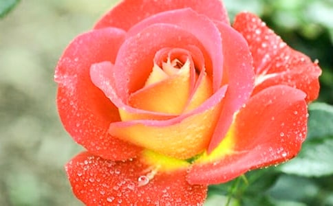 �����¼����ľ���30�l