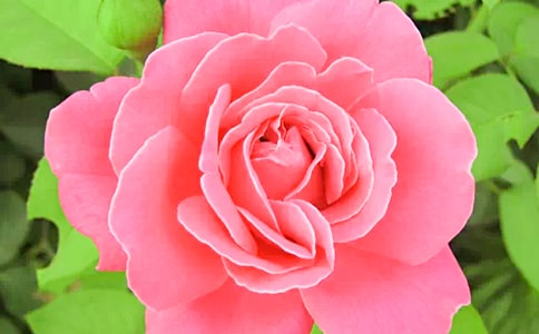 ���x�����¼����ľ���48��