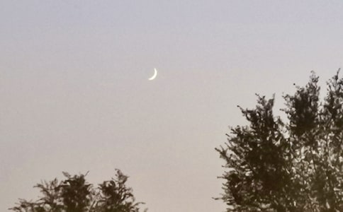 �茑�����ĺ��~�þ�ö�ժ��