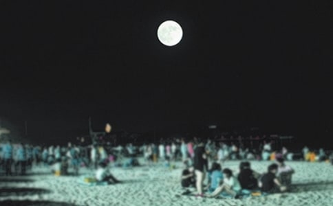 (��(y��u))�A֮ҹ����15ƪ